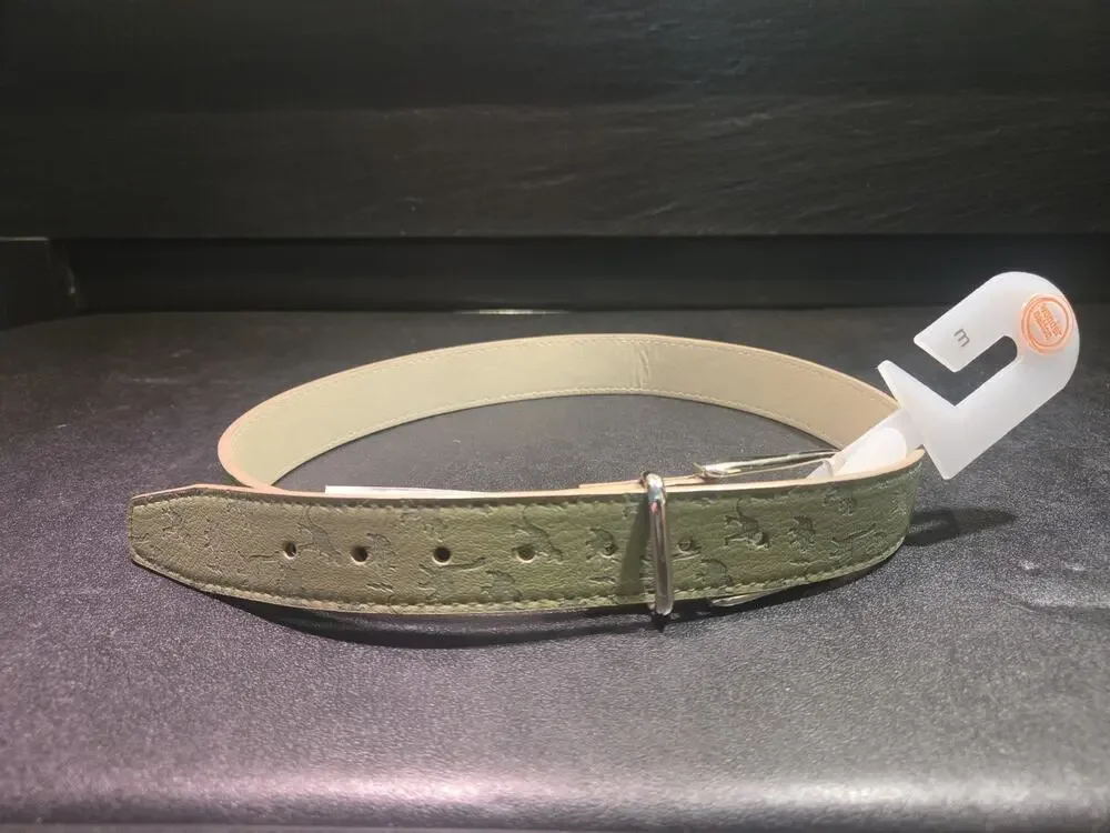 Wonder Nation Dinosaur Belt Green Embossed Dino T-Rex Silver Buckle Size M NWT